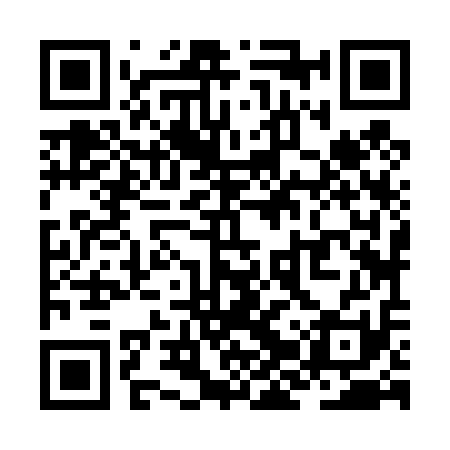 QR code for ZJZ411