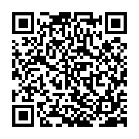 QR code for ZLM514