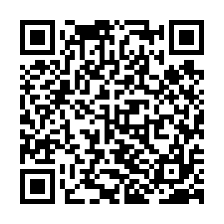 QR code for ZLM617