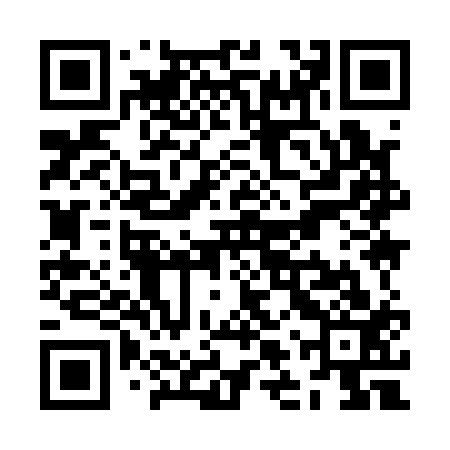 QR code for ZLY113