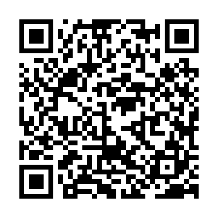 QR code for ZLZ222