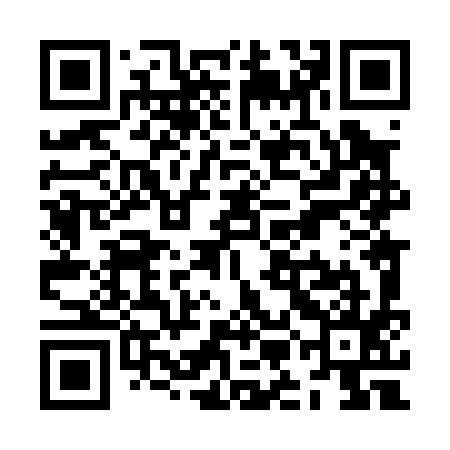 QR code for ZML095
