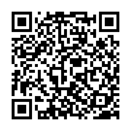 QR code for ZPU389