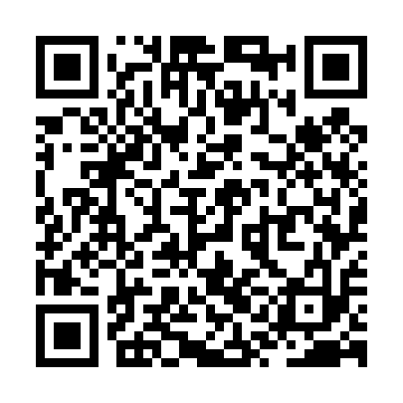 QR code for ZQG413