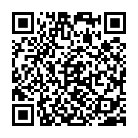 QR code for ZQJ539