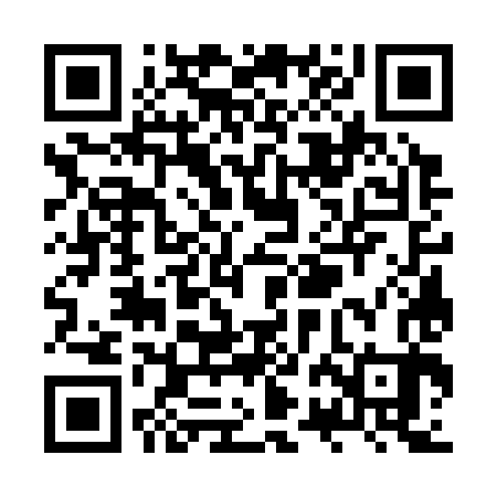 QR code for ZRG383