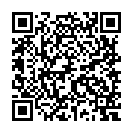 QR code for ZSJ993