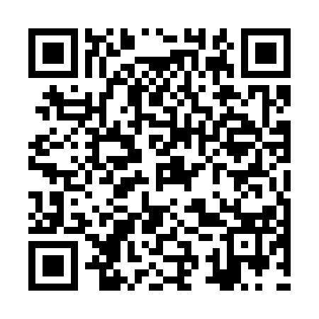 QR code for ZSU313