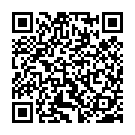 QR code for ZSY409