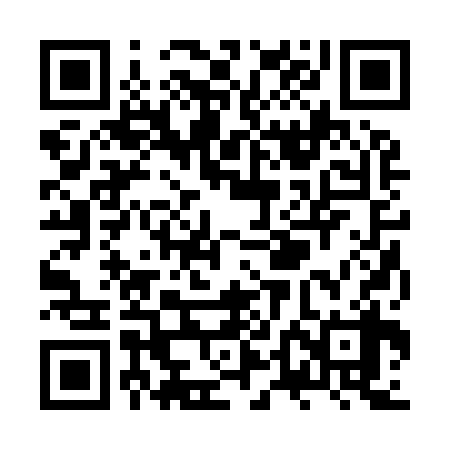 QR code for ZTB938