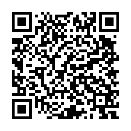 QR code for ZTE462