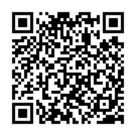 QR code for ZTQ691