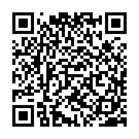 QR code for ZTR961
