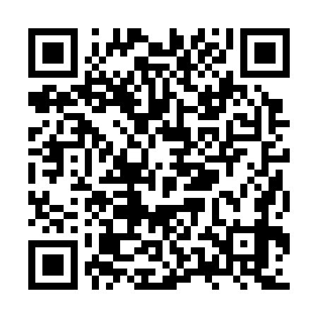QR code for ZUB379