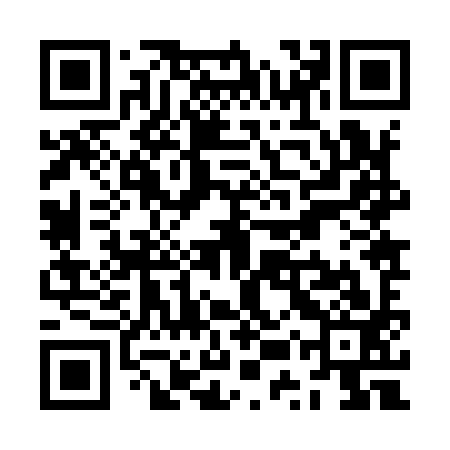 QR code for ZUZ993