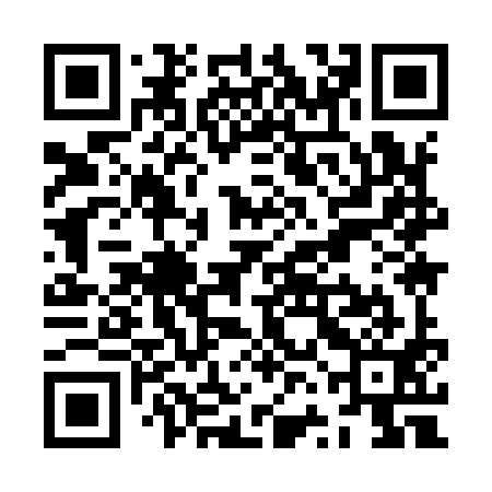 QR code for ZVI991