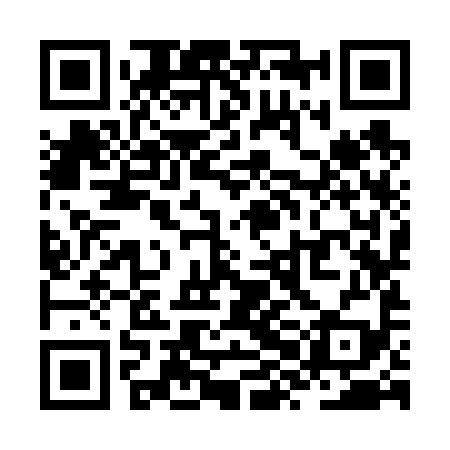 QR code for ZXK699