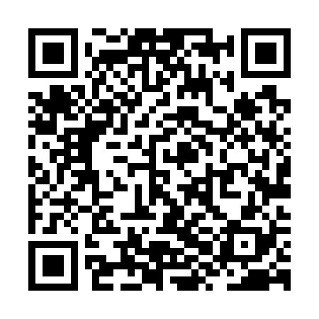 QR code for ZXL728