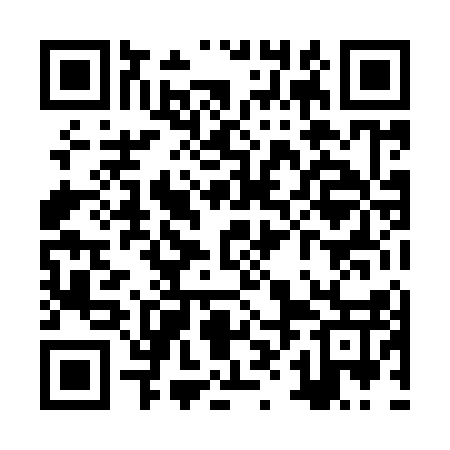 QR code for ZXL917
