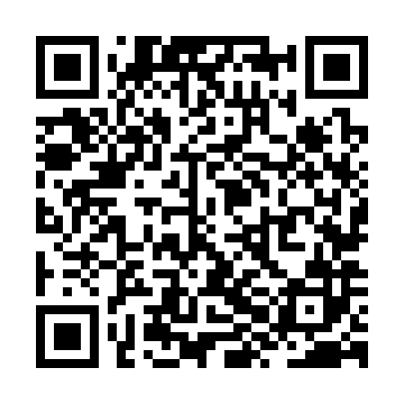 QR code for ZXN382