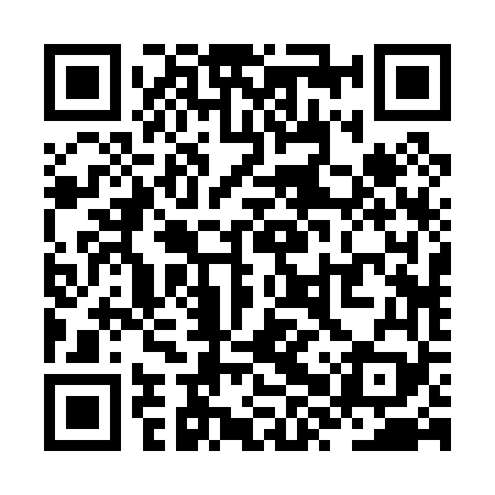 QR code for ZXR069