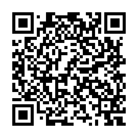 QR code for ZXS993