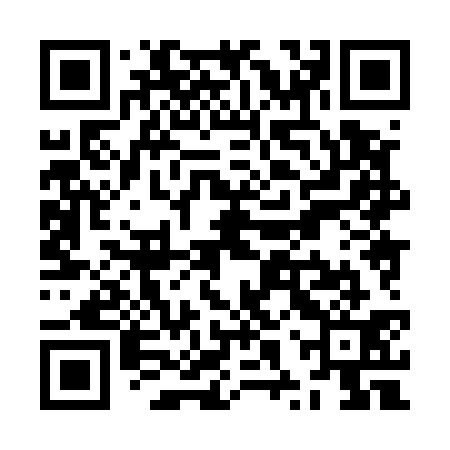 QR code for ZXX531