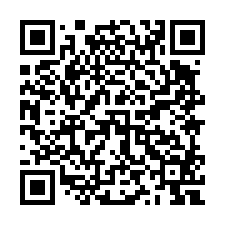 QR code for ZYI484