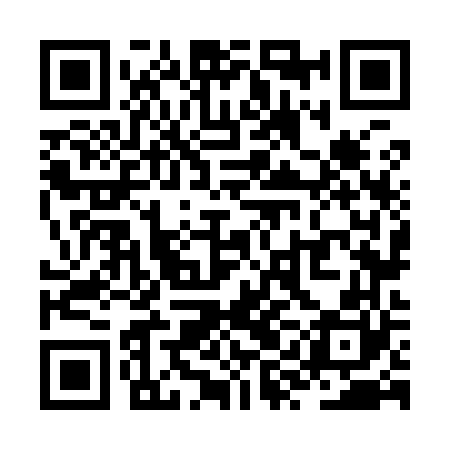 QR code for ZYN960
