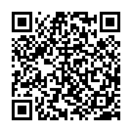 QR code for ZYP070