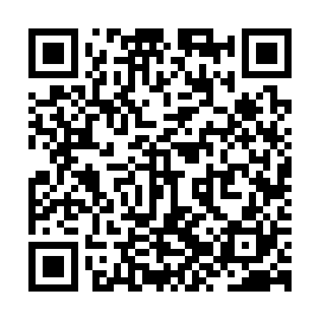 QR code for ZZV320