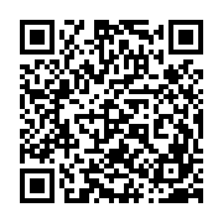QR code for 009L66