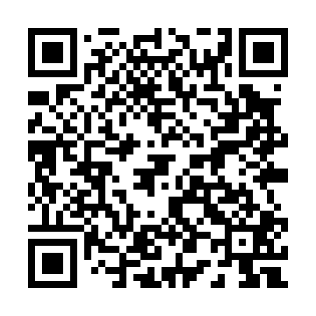 QR code for 009P01