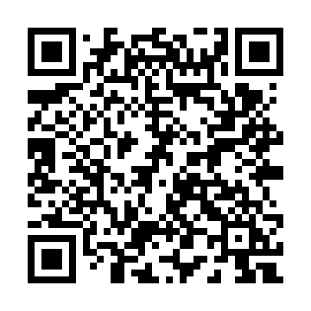 QR code for 009VVI