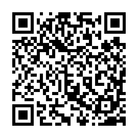 QR code for 00Z695