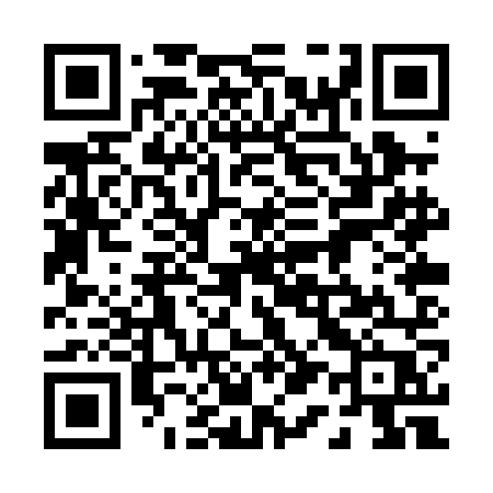 QR code for 010PNP