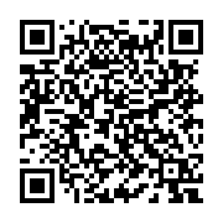 QR code for 013MSR
