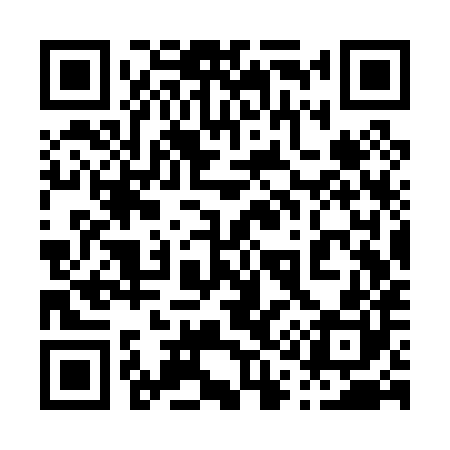 QR code for 013P80