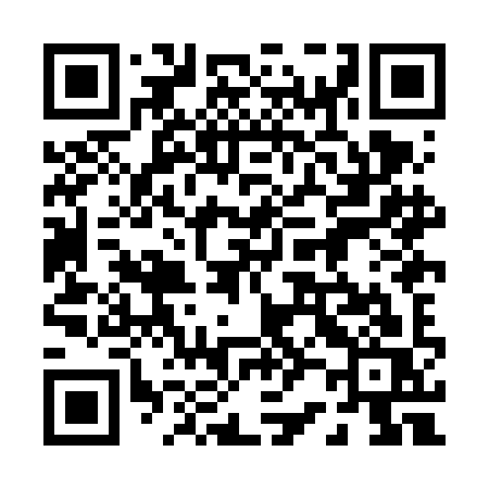 QR code for 028FIS
