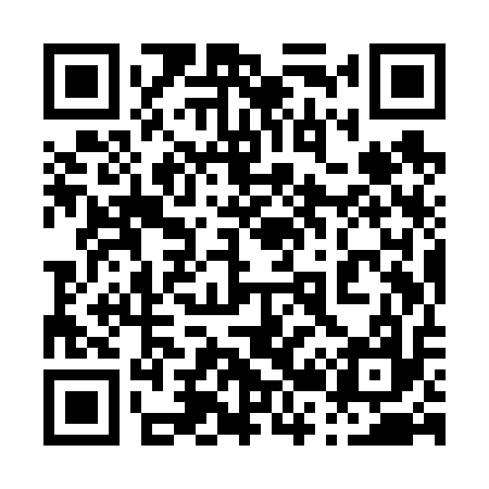 QR code for 029V17