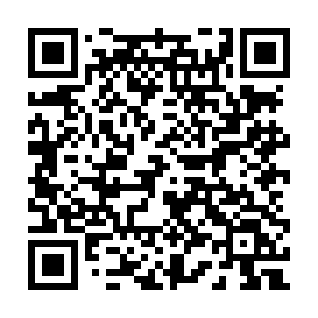 QR code for 038LDL