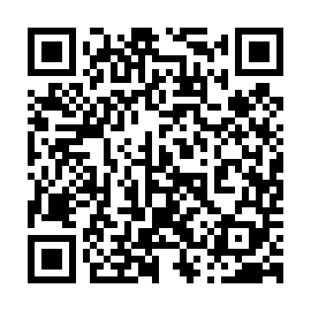 QR code for 03Q449