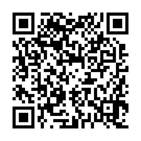 QR code for 03Z294