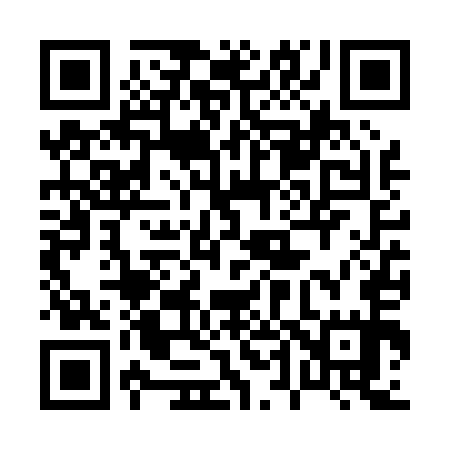 QR code for 046P55
