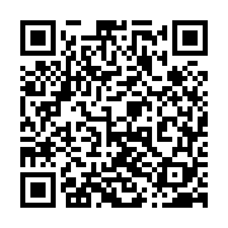 QR code for 04G869