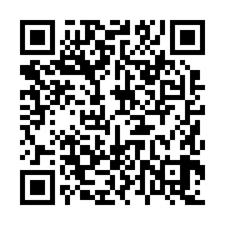 QR code for 04P289