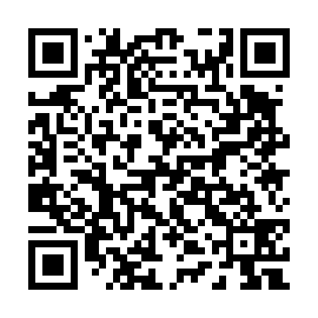 QR code for 04Q439