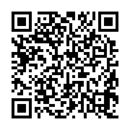 QR code for 04S399