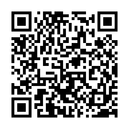 QR code for 063P13