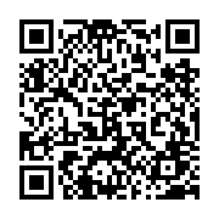 QR code for 065GOV